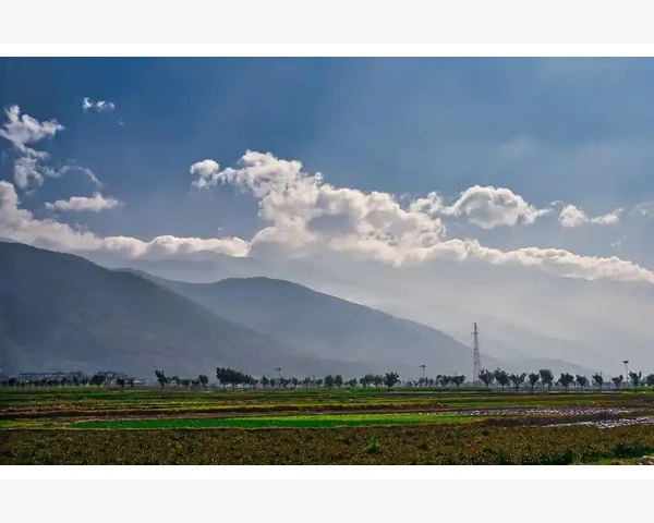 排寒驱寒，喝什么茶好呢？